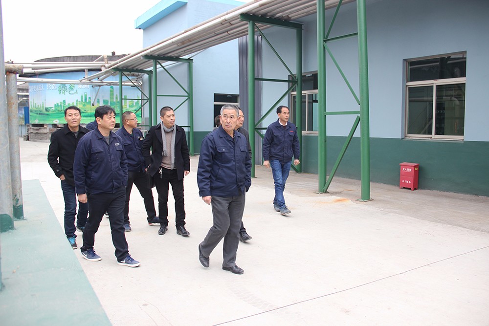 與會人員走在華聯(lián)紙業(yè)廠區(qū).JPG