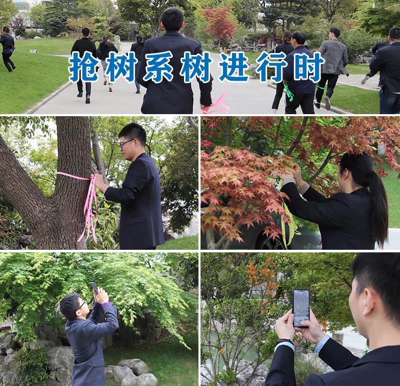 04搶樹系樹進行時.jpg